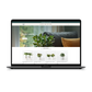 cityofplants.com